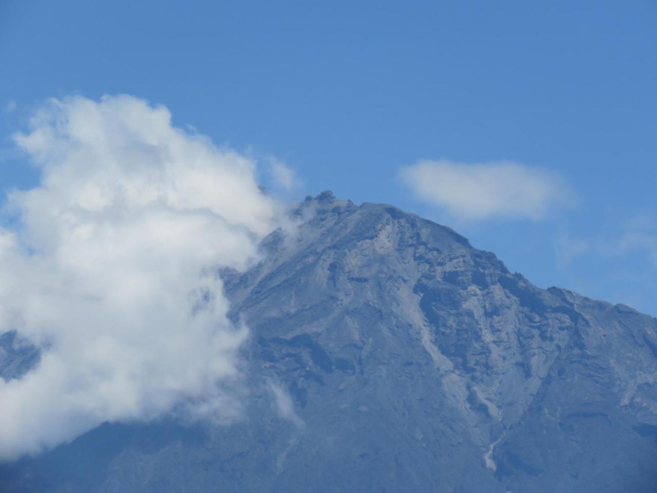 Boulevard Inn Mt Meru Arusha Exteriör bild